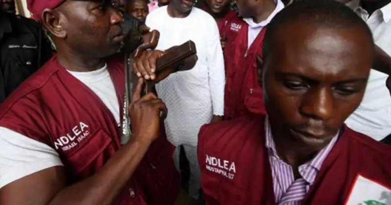 Daring Drug Bust Foiled: NDLEA Thwarts Hoodlums' Attempt to Free Kingpin in Rivers State