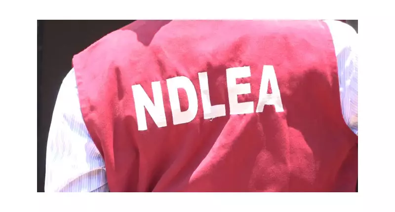 Edo Drug Bust Turns Deadly: Teenager Killed in NDLEA Raid Clash