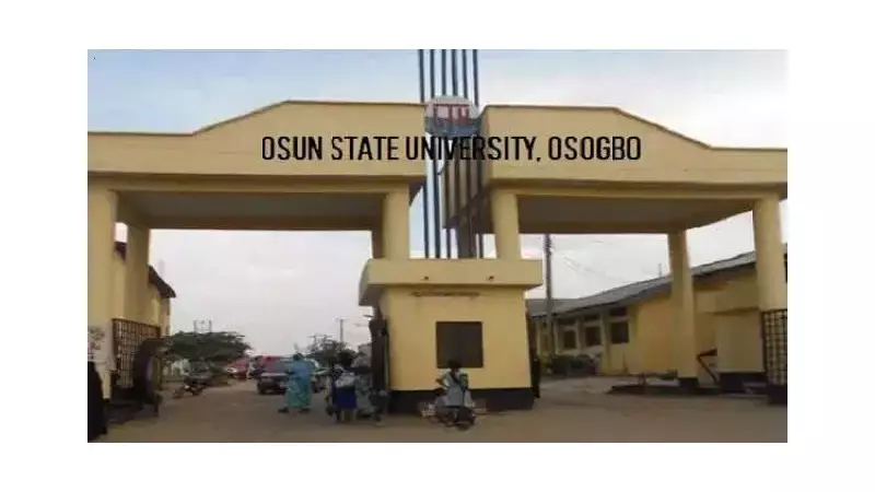 Nigerian Doctor Sounds Alarm: Healthcare Exodus Reaches Crisis Point - Urgent Government Action Needed