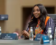 Africa's Energy Crisis: Transcorp President Urges Rapid Scale-Up to Power Economic Growth