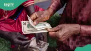 Naira Soars to 10-Month High Against Dollar in Dramatic Exchange Rate Turnaround