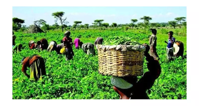2025 Agricultural Youth Summit: Policy & Finance Key to Nigeria's Agri-Future