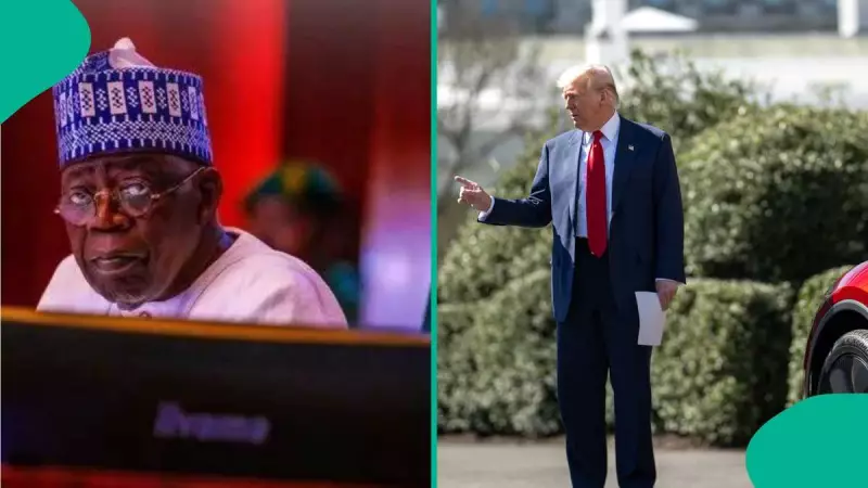 Analyst Links Trump's Nigeria Outburst to IPOB Propaganda