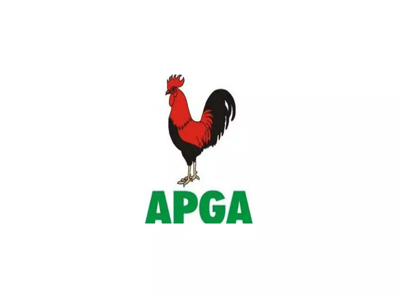 Anambra Election: APGA Chairman Praises INEC Despite Minor BVAS Issues
