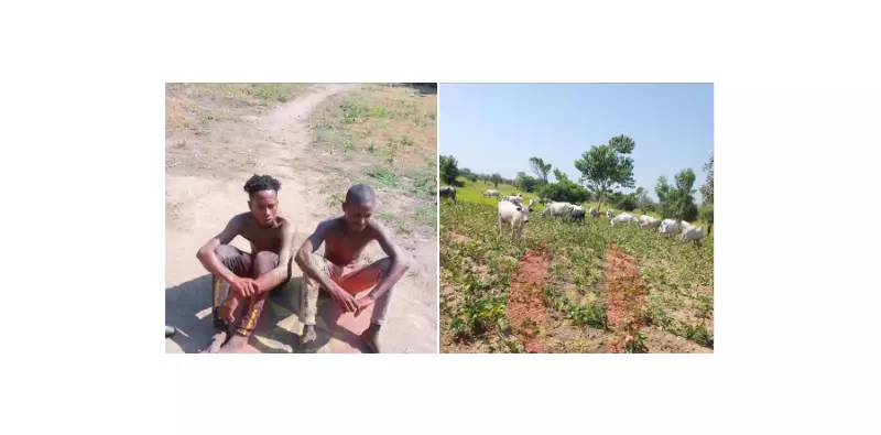 Army Arrests 2 Herders for Destroying Crops in Benue