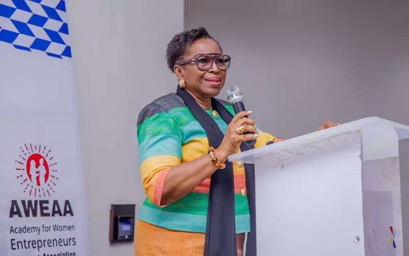 Beyond Profit: Nigerian Women Entrepreneurs Challenged to Build with Purpose