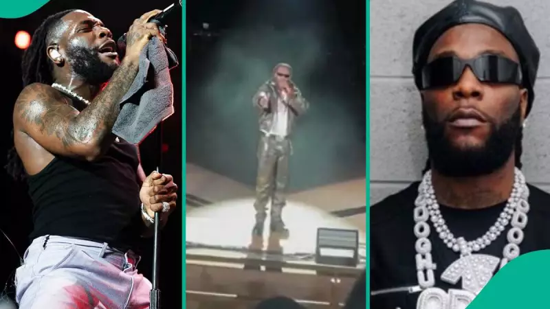 Burna Boy Stops Denver Concert Over Sleeping Fan, Video Goes Viral