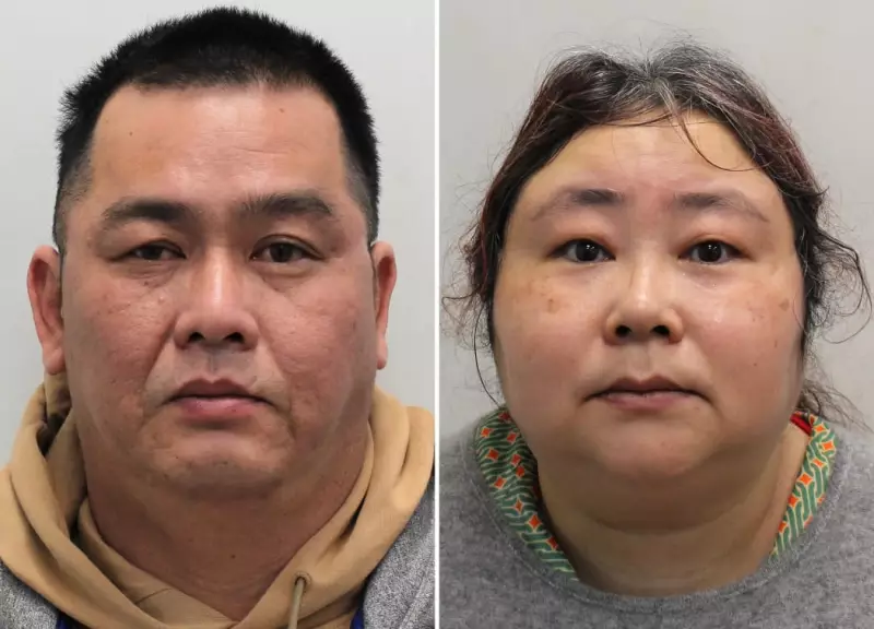 Chinese 'Goddess of Wealth' Gets 11+ Years in UK for Bitcoin Fraud