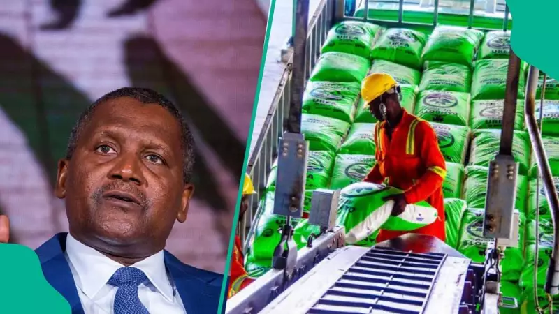 Dangote Partners With German Firm to Build 4 Fertiliser Plants in Lagos