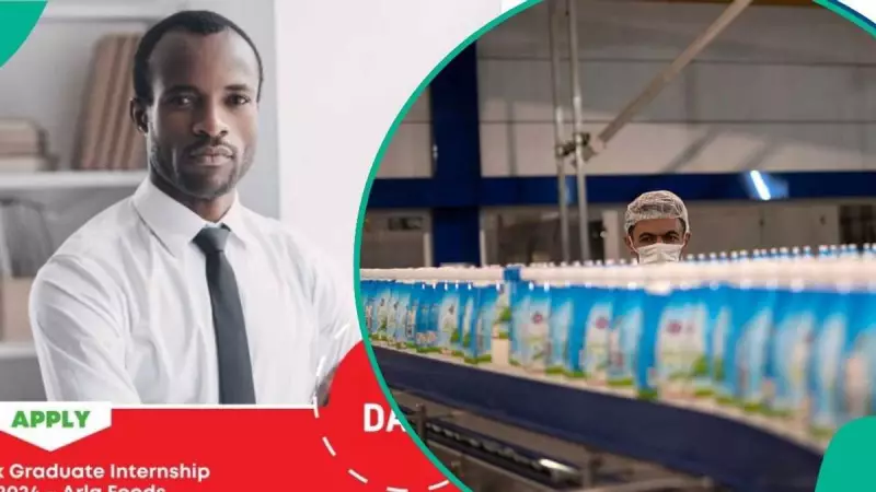Dano Milk Opens 2026 Paid Internship For Nigerian Graduates