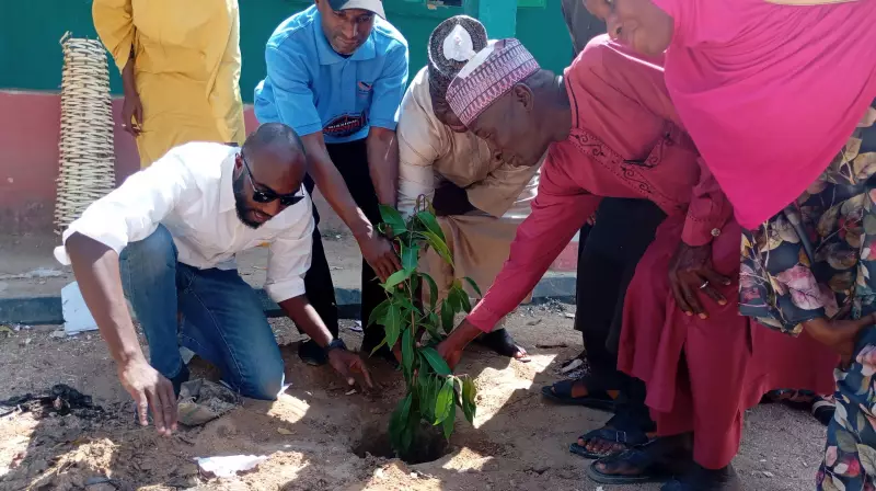 DISCO Takes Climate Action: Green Initiative Transforms Bauchi School with Tree Planting
