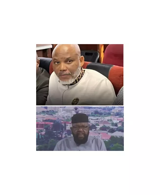 Ejimakor: No Number of Lawyers Could Alter Nnamdi Kanu's Conviction