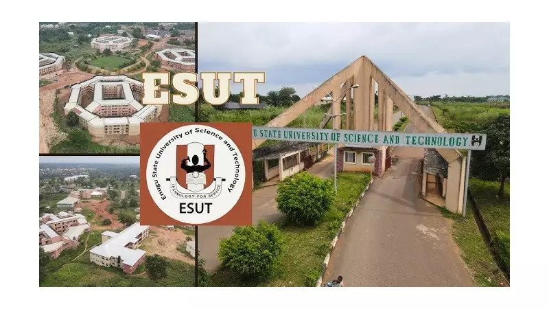 Enugu Govt Begins Fencing of ESUT After 19-Year Wait