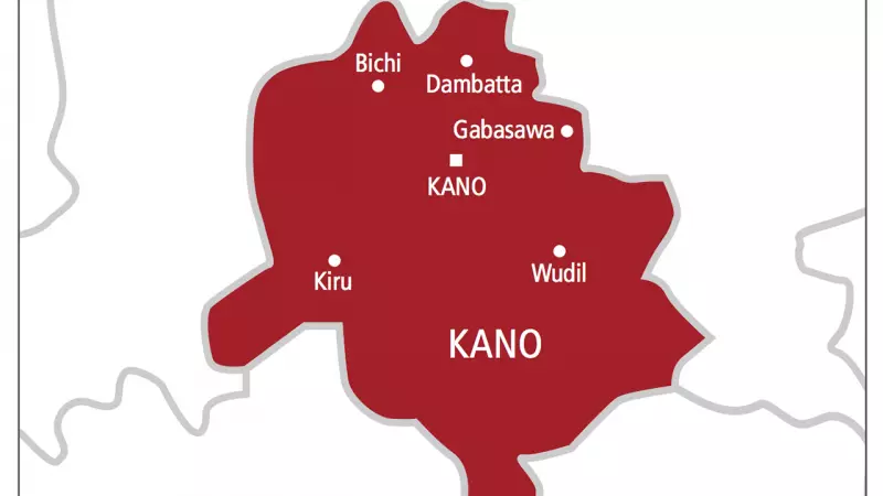 EU Launches Women's Digital Hub in Kano to Boost Female Entrepreneurship