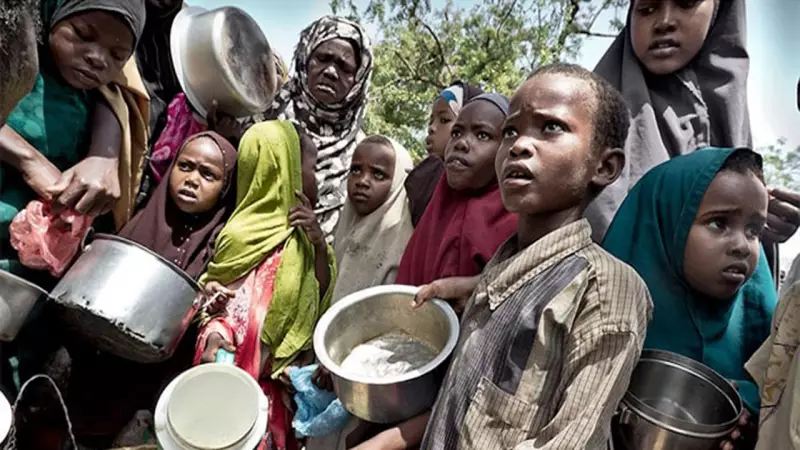 Food Crisis Alert: 34.7 Million Nigerians to Face Severe Hunger by 2026 - New Report Reveals