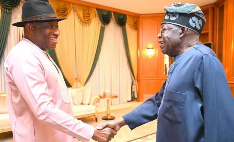 Goodluck Jonathan Briefs Tinubu on Guinea-Bissau Crisis After Safe Return