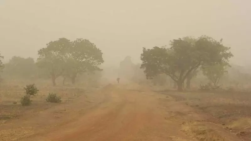 Harmattan Season Arrives: 7 Health Challenges and Survival Tips