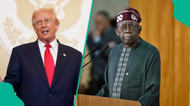 IMPI Exposes Groups That Misled Trump on Nigeria Genocide Report