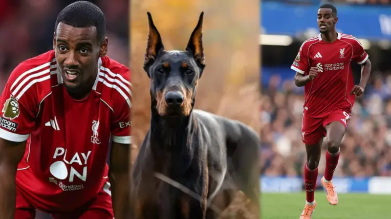 Liverpool's Alexander Isak Buys £30k Guard Dog After Death Threats