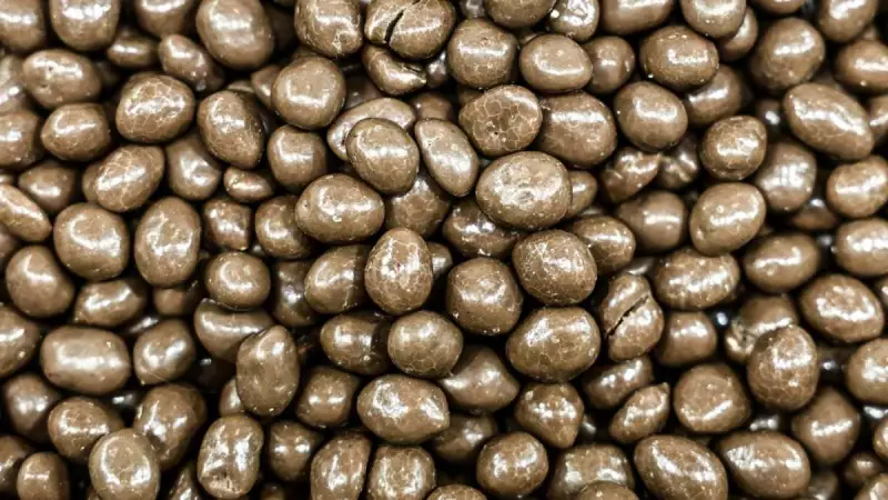 Major Chocolate Brands Linked to Liberia Deforestation, Says Report