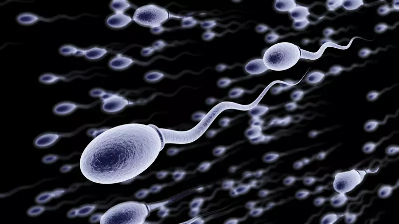 Male Infertility Crisis: 30% Sperm Count Drop in Nigerian Men