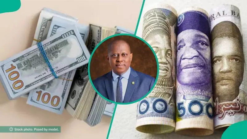 Naira Crashes: Dollar Hits N1,443.91 as Festive Demand Surges