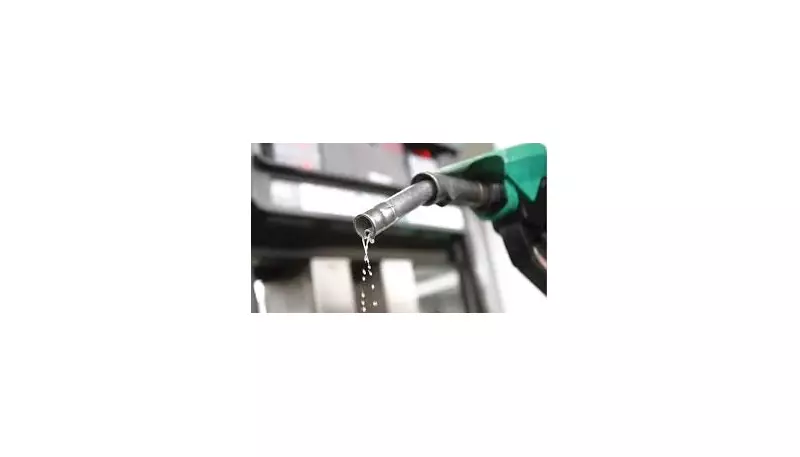 NAPS Demands Total Ban on Imported Fuel to Support Dangote Refinery