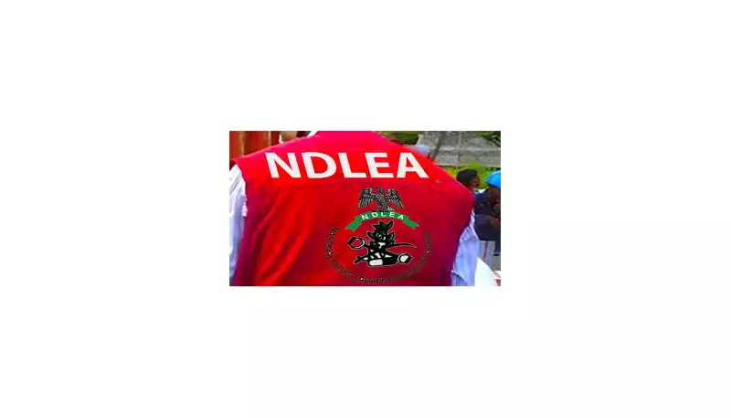 NDLEA Seizes 1,455kg Cannabis in Edo After Drug Traffickers Flee