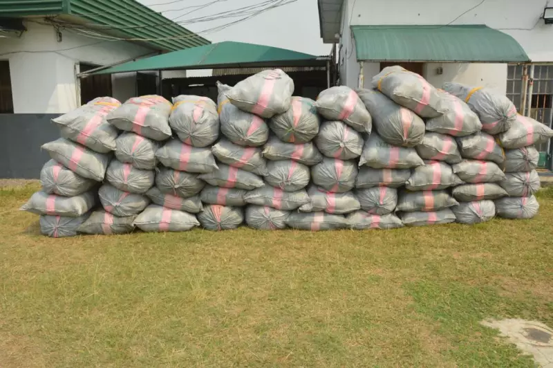 NDLEA Seizes 1,455kg of Cannabis in Edo as Cartel Flees