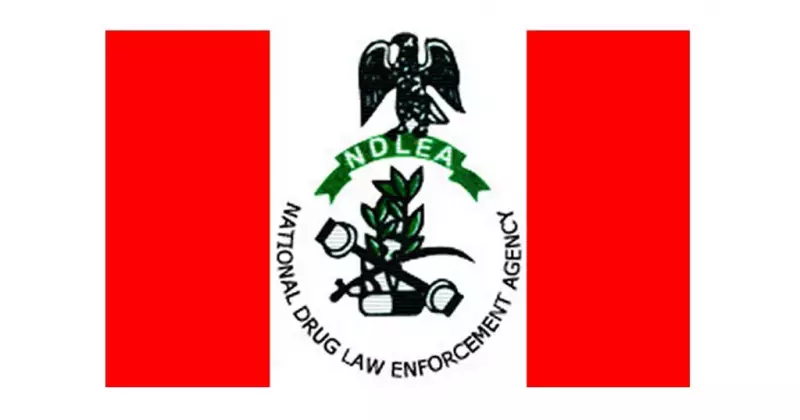 NDLEA Strikes Again: 1,779kg of Cannabis Seized in Ogun State Bust
