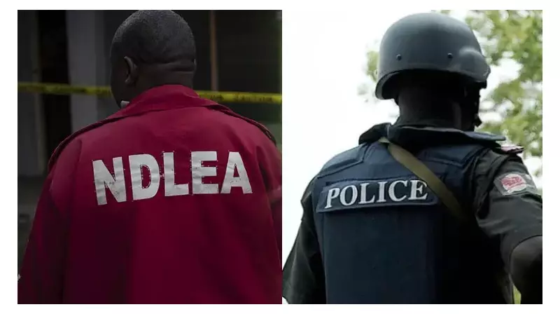 NDLEA Strikes Hard: Major Drug Busts Across 7 Nigerian States, 15+ Suspects Nabbed