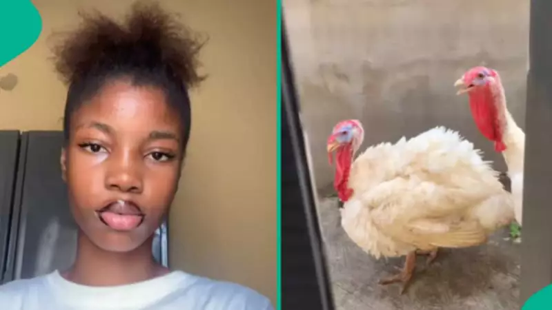 Nigerian Lady Discovers 2 Live Turkeys in Her Compound, Cries Out