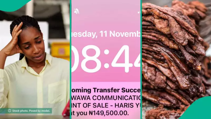 Nigerian Lady's N150,000 Mistaken Transfer to Suya Seller Gets Refunded