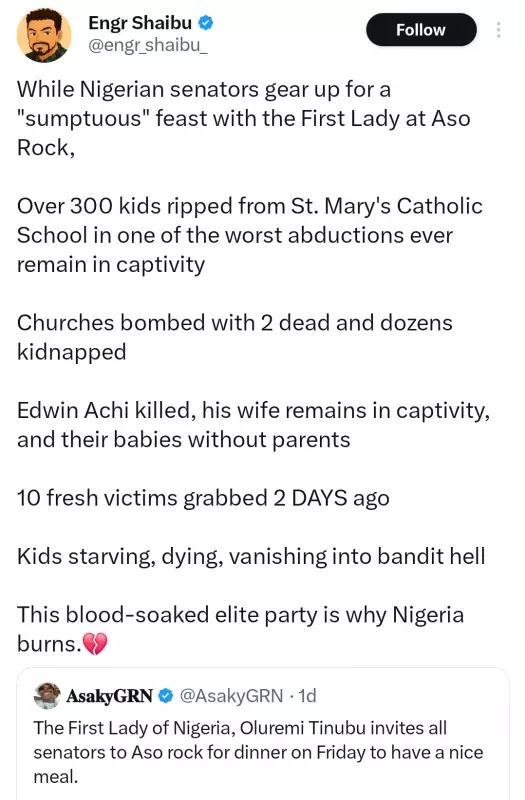 Nigerian Man Criticizes First Lady's Dinner Amid Security Crisis