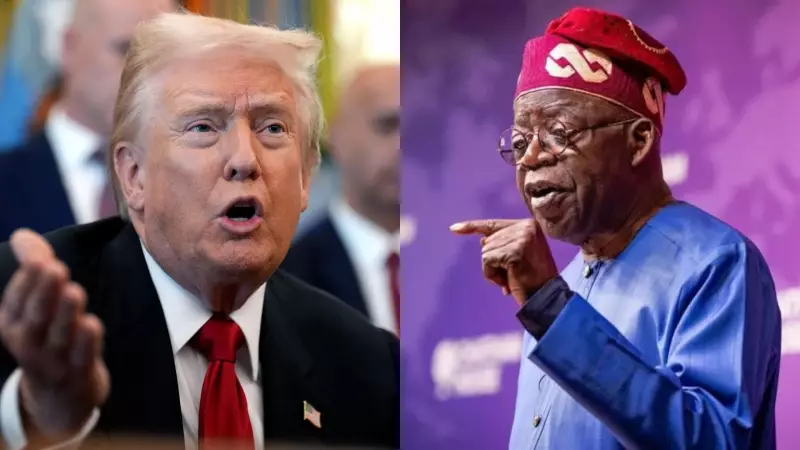 Nigerian Professionals in Europe Urge EU to Restrain Trump's Military Threat