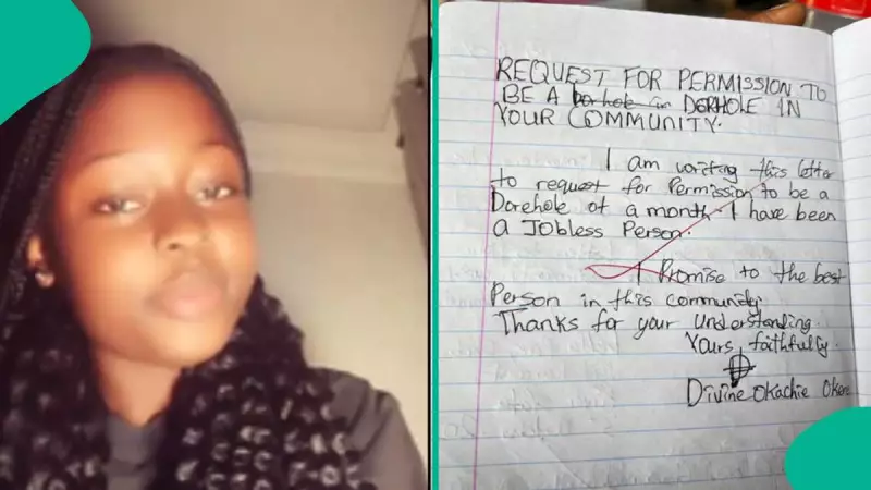 Nigerian Teacher's Viral Borehole Letter Assignment Amuses Netizens
