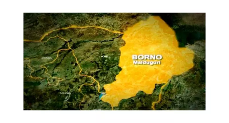 Nigerian Troops Rescue 86 Victims, Arrest 29 Terrorist Suppliers in Borno