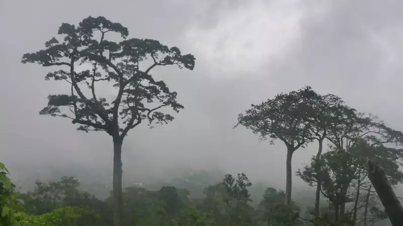 Nigeria's 2060 Net-Zero Goal: Tech Experts Warn Current Approach Needs Major Digital Upgrade