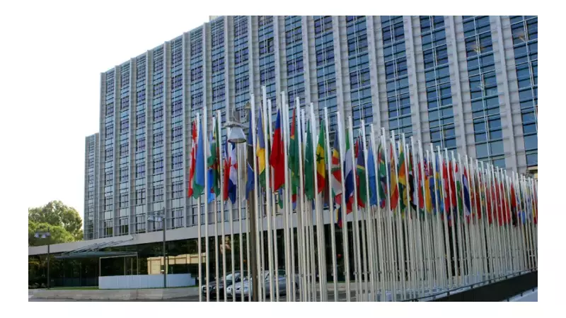 Nigeria's Youth: The Untapped Goldmine for Food Sovereignty and Agricultural Revolution