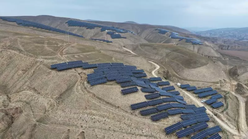 Renewables Surge Past Fossil Fuels Despite US Policy Shift: IEA