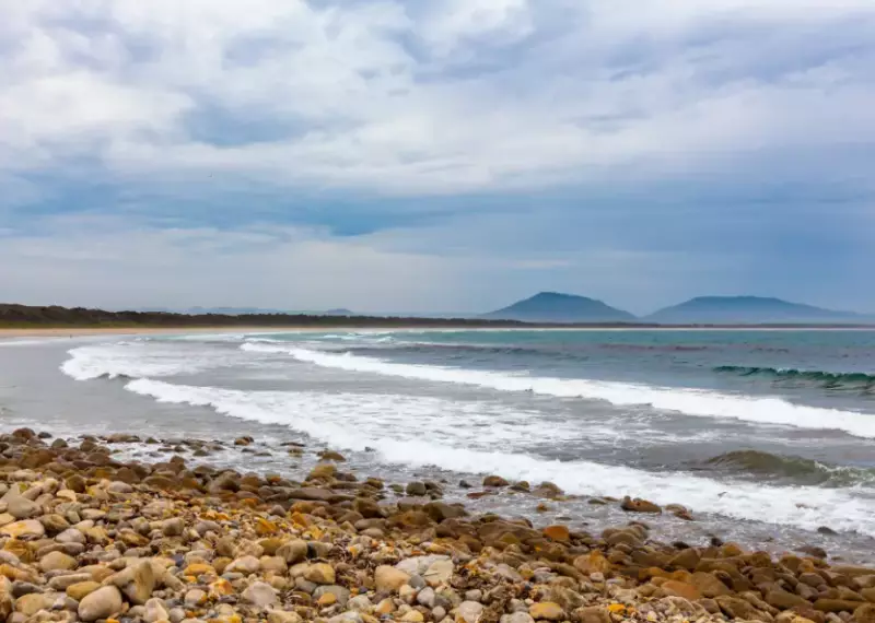 Shark Attack Kills Woman, Injures Man at Australian Beach