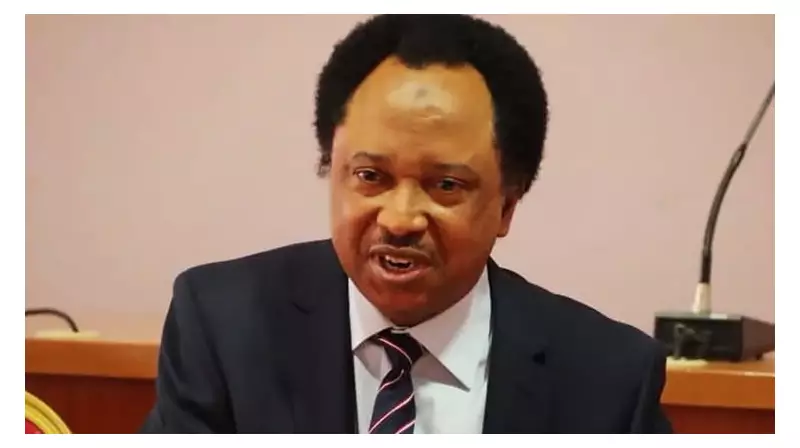 Shehu Sani: 15 Years of Northern Insecurity Needs Honest Solutions