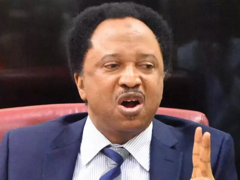 Shehu Sani Urges Nigerians with Revoked US Visas to Return Home