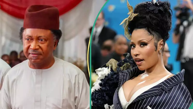 Shehu Sani Warns Nicki Minaj Over Nigeria Comments at UN