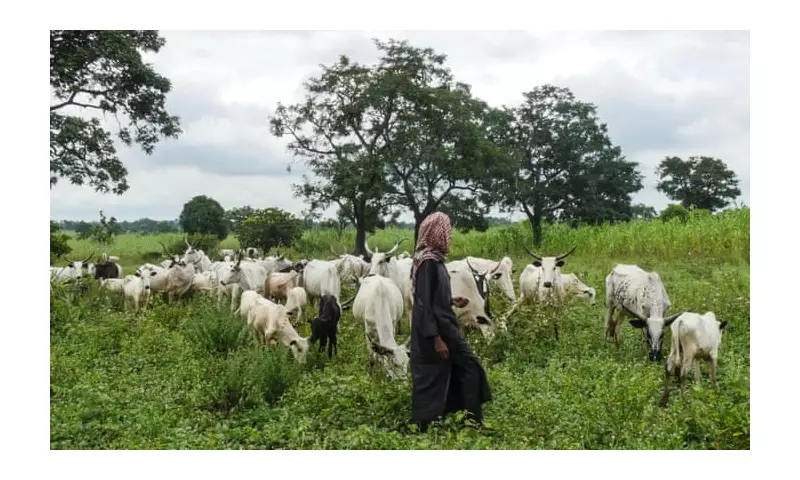 Suspected Herders Sever Woman's Wrist, Abduct Couple in Nasarawa