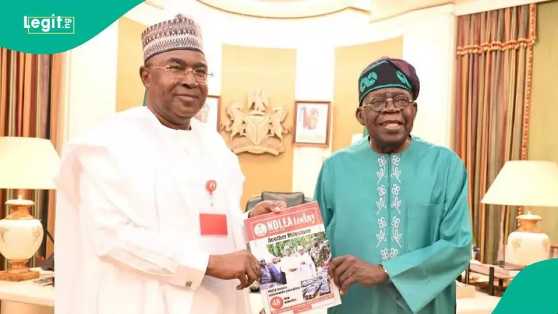 Tinubu Renews Buba Marwa's NDLEA Term: 7 Key Facts About the Chairman