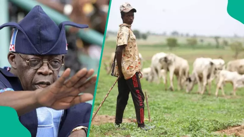 Tinubu's Govt Implements Final Ban on Open Grazing to End Farmer-Herder Conflicts