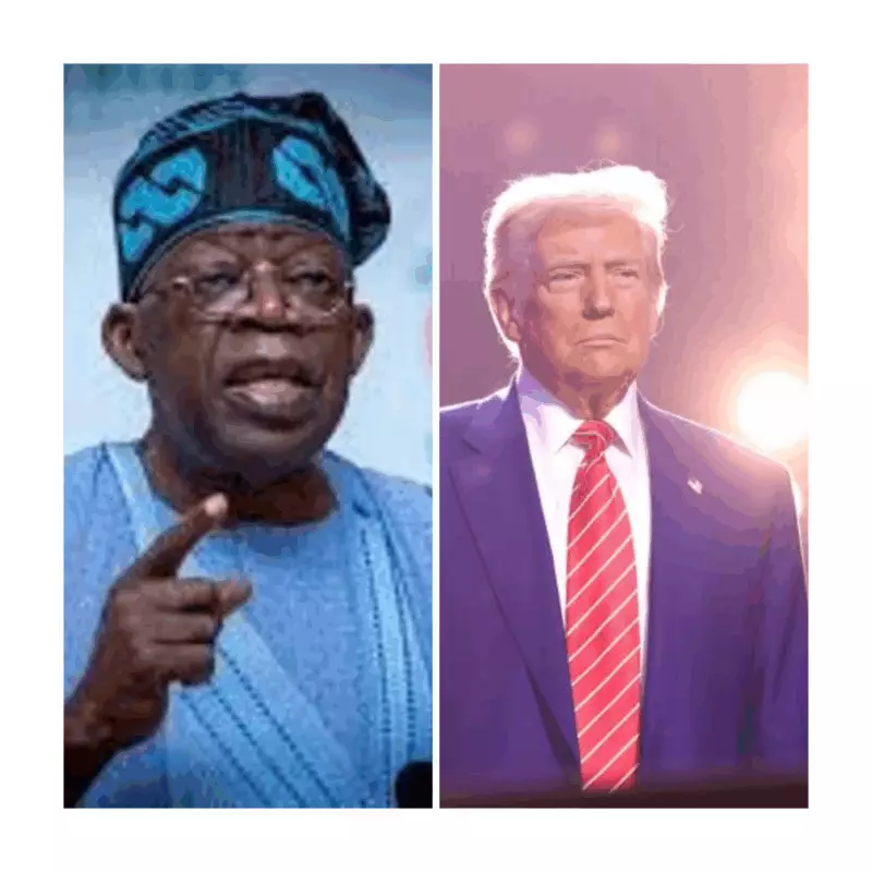 Tinubu's White House Visit Awaits 'Right Situation' Amid US-Nigeria Tensions