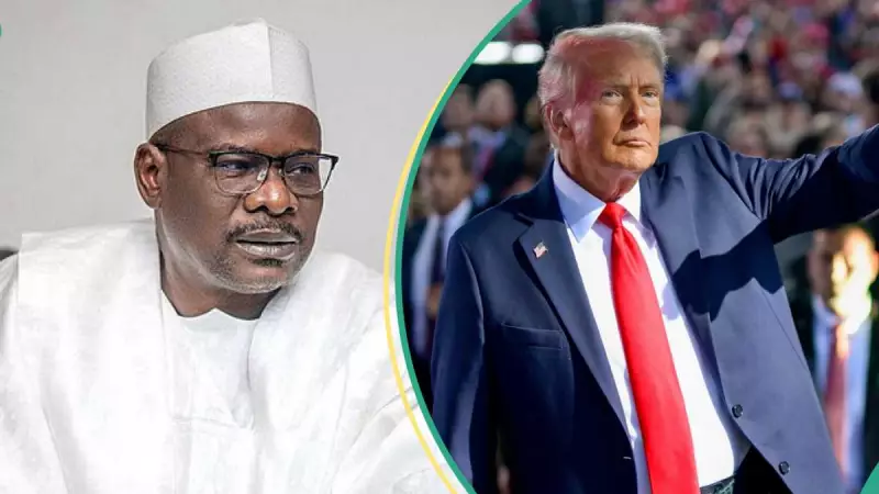 Trump Ignorant of Nigeria's Security Crisis - Senator Ndume Blasts Former US President Over Christian Genocide Comments