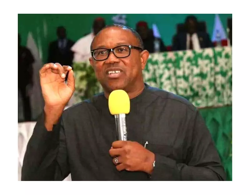 Trump Labels Nigeria 'Country of Particular Concern' - Peter Obi Points to Leadership Failure